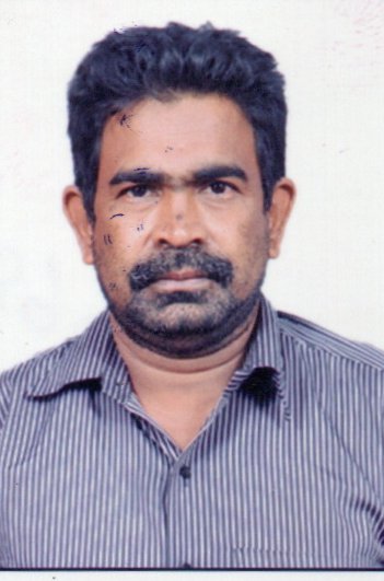 B. Srinivasa Rao